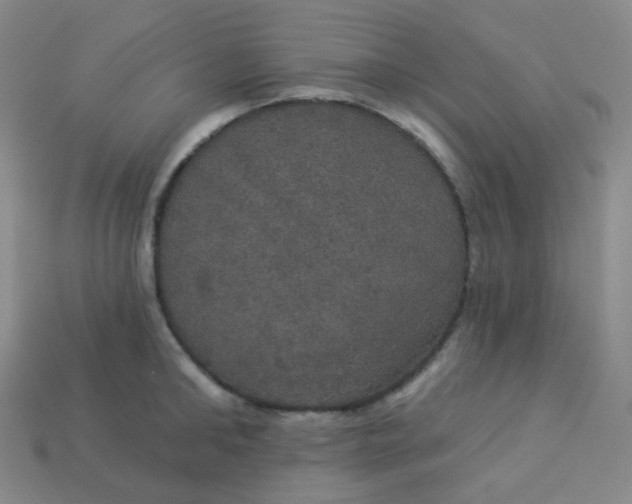 X0000113550902200910091301