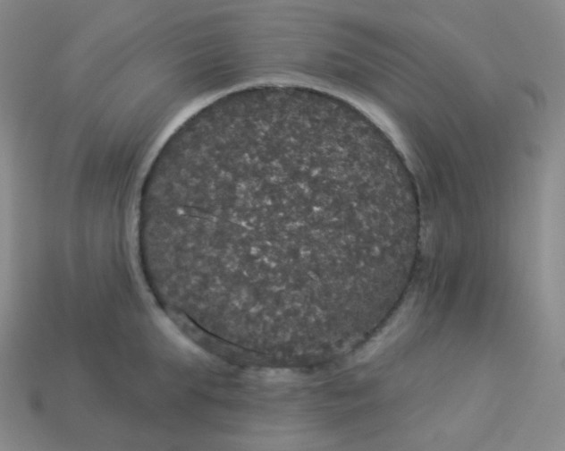 X0000113550903200910091301