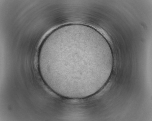 X0000113550904200910091301