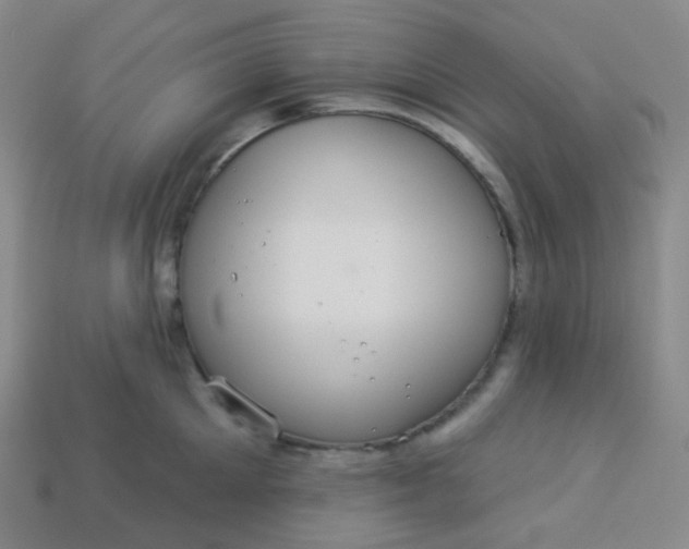 X0000113550905200910091301