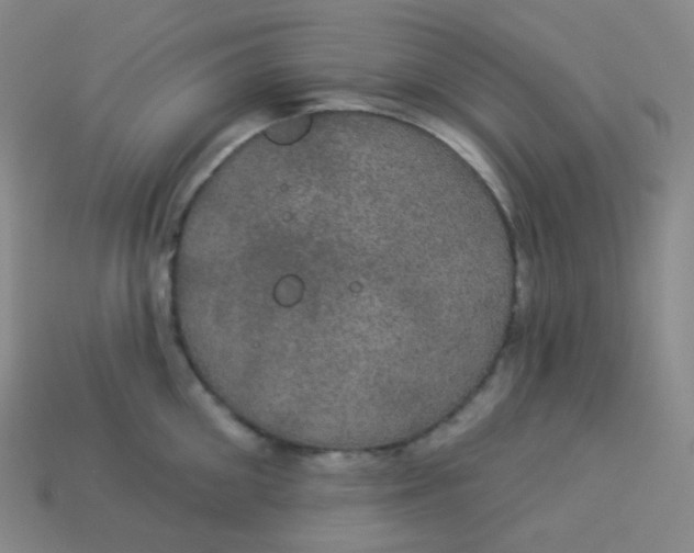 X0000113550906200910091301