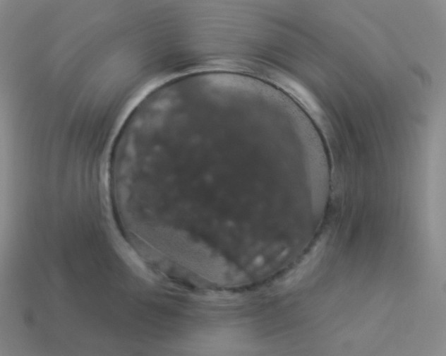 X0000113550907200910091301