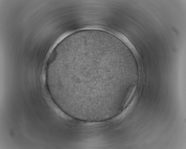 X0000113550908200910091301