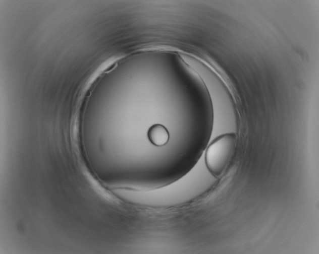 X0000113550909200910091301