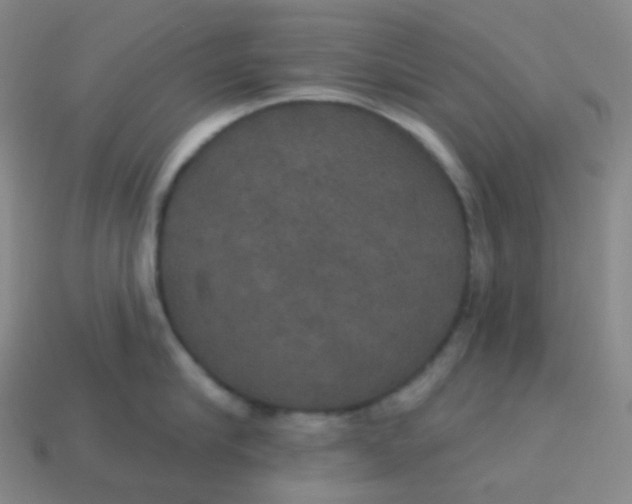 X0000113550910200910091301