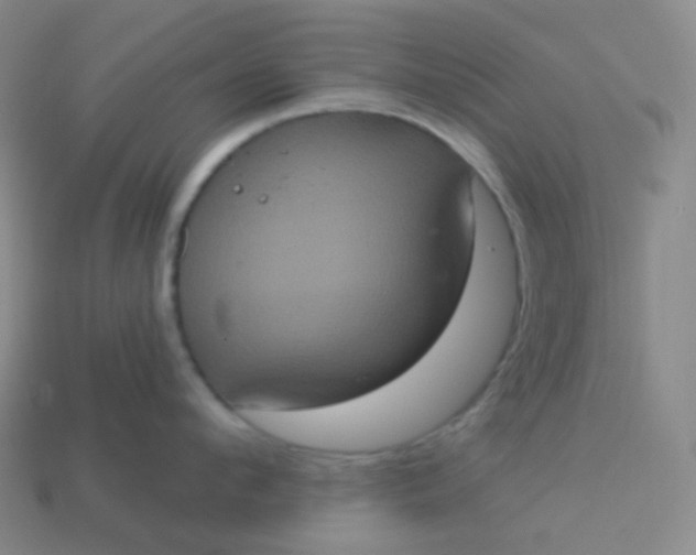 X0000113550912200910091301