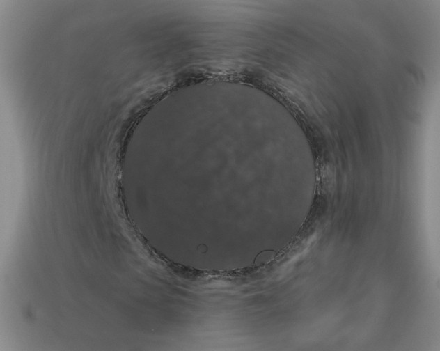 X0000113550913200910091301