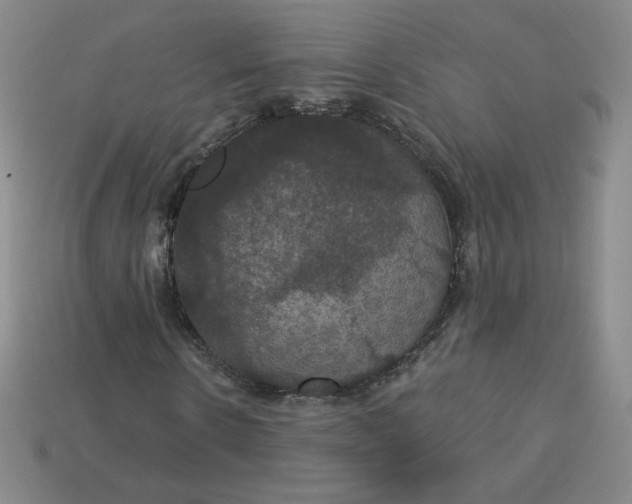 X0000113550914200910091301