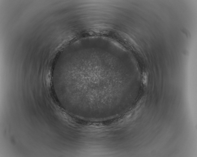 X0000113550915200910091301