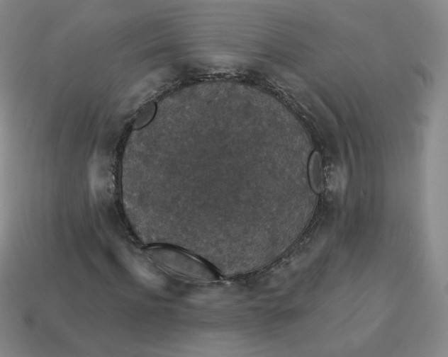 X0000113550916200910091301