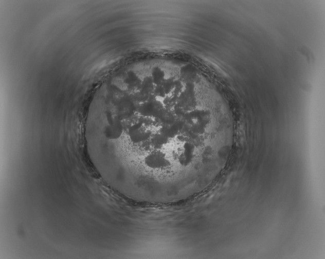 X0000113550917200910091301