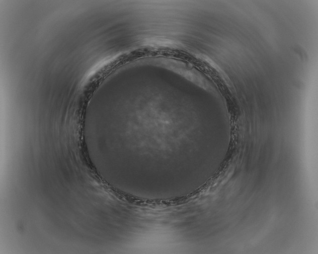 X0000113550919200910091301