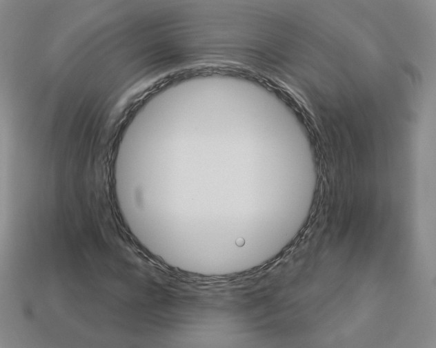 X0000113550920200910091301