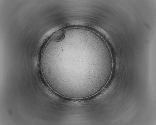 X0000113550922200910091301