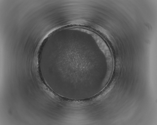 X0000113550923200910091301