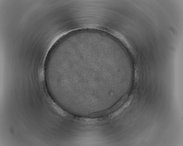 X0000113550924200910091301