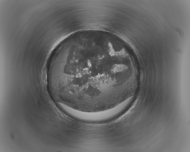 X0000113550925200910091301