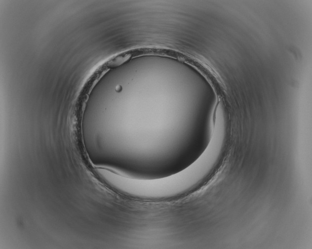 X0000113550926200910091301