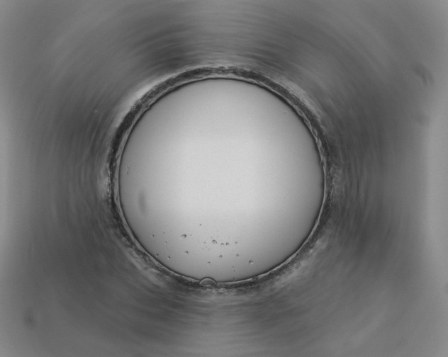 X0000113550927200910091301