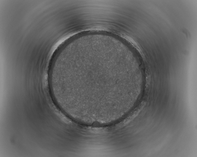 X0000113550928200910091301