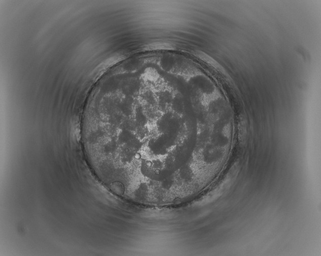 X0000113550929200910091301