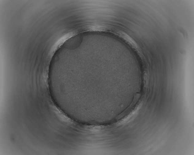 X0000113550930200910091301