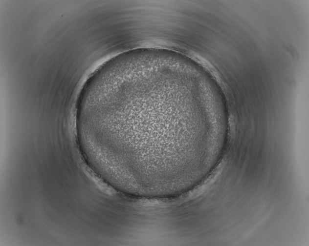 X0000113550931200910091301