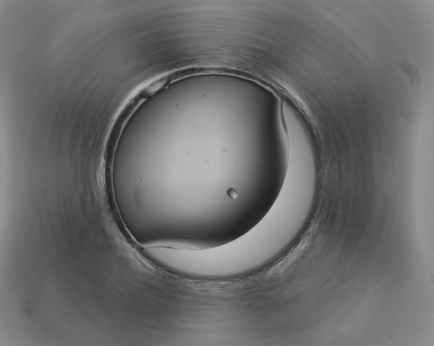 X0000113550932200910091301