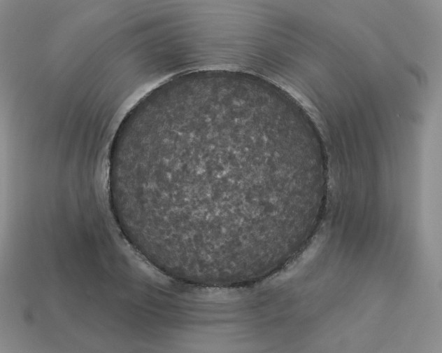 X0000113550933200910091301