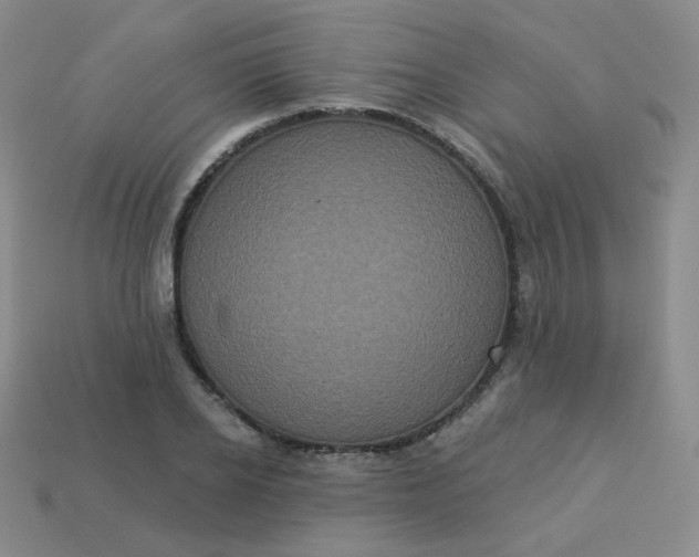 X0000113550934200910091301