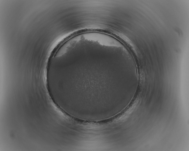 X0000113550935200910091301