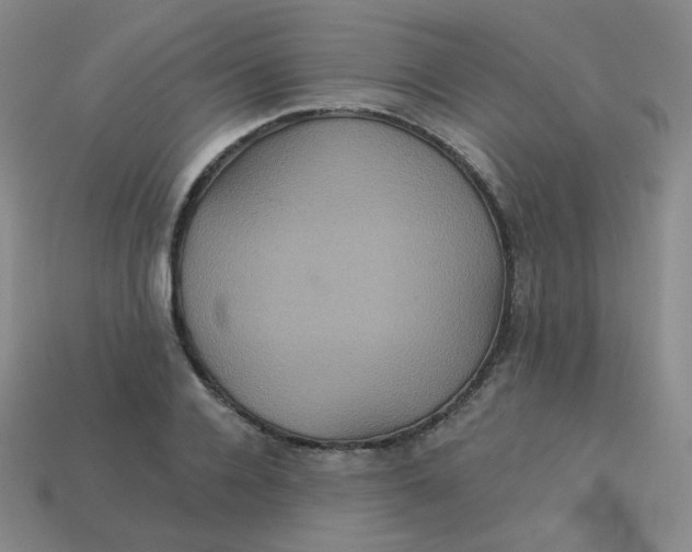 X0000113550936200910091301