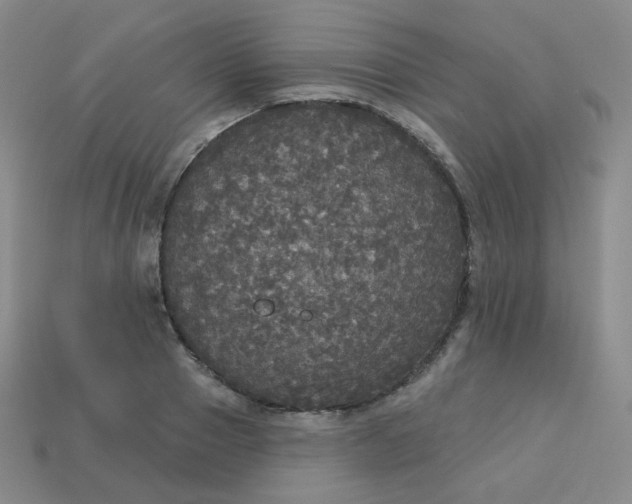 X0000113550937200910091301