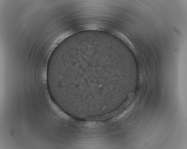 X0000113550938200910091301