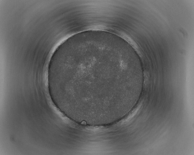 X0000113550939200910091301