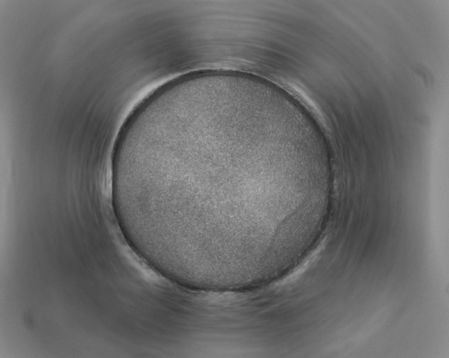 X0000113550940200910091301