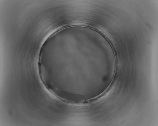 X0000113550941200910091301