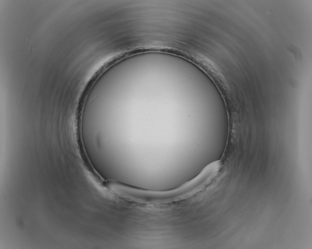 X0000113550942200910091301