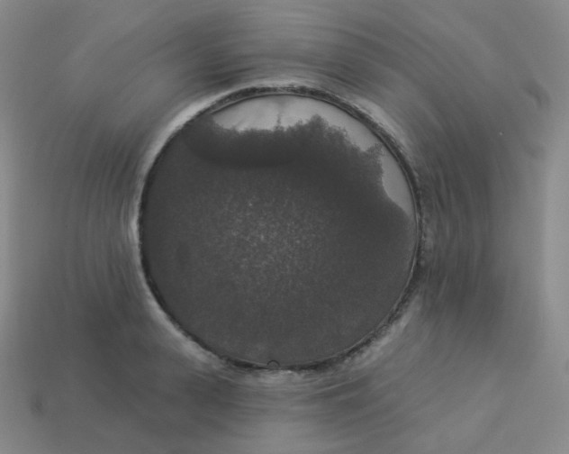 X0000113550943200910091301