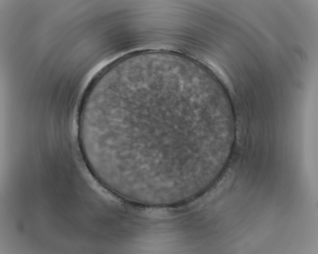 X0000113550944200910091301