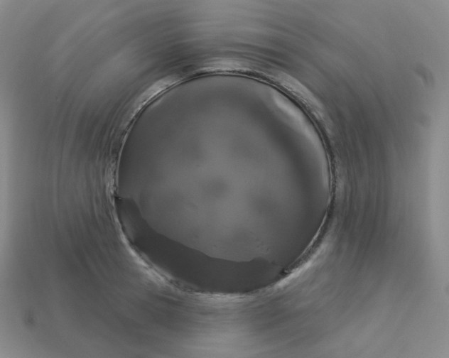 X0000113550945200910091301