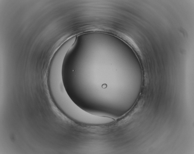 X0000113550946200910091301