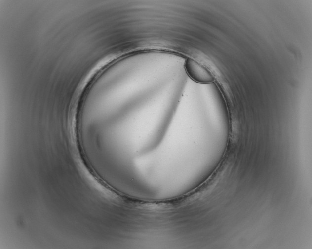 X0000113550947200910091301