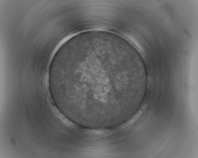 X0000113550948200910091301