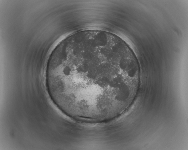 X0000113550949200910091301