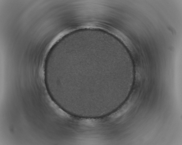 X0000113550950200910091301