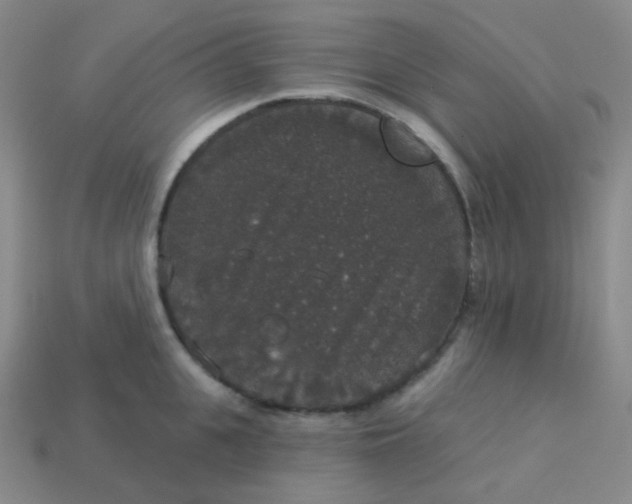 X0000113550951200910091301