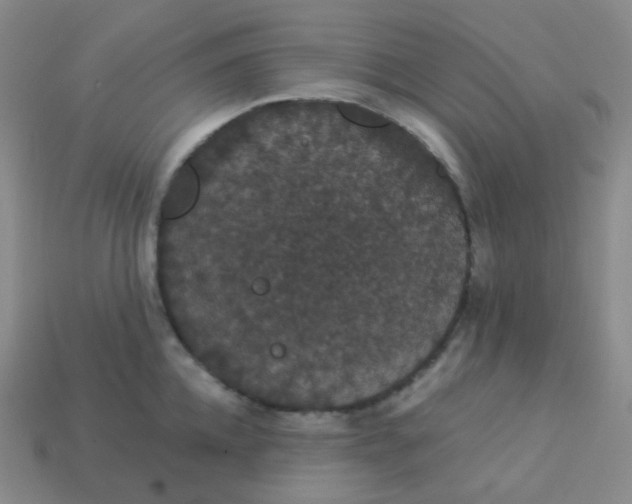 X0000113550952200910091301