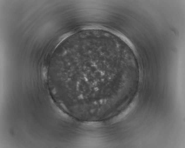 X0000113550953200910091301