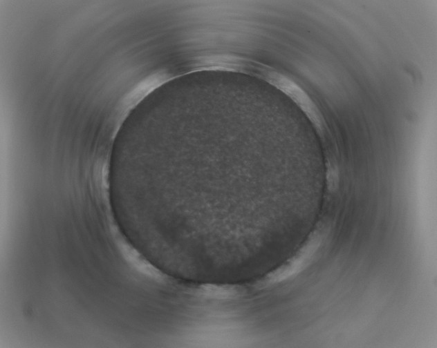 X0000113550954200910091301